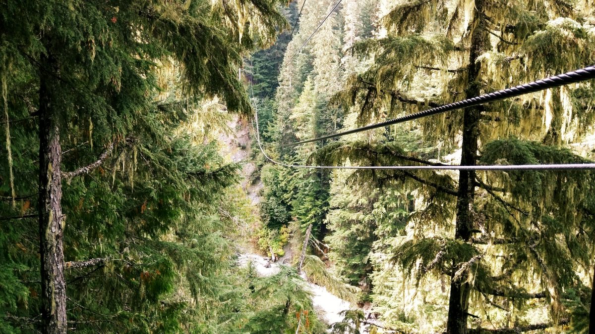 Ziplining in Whistler
